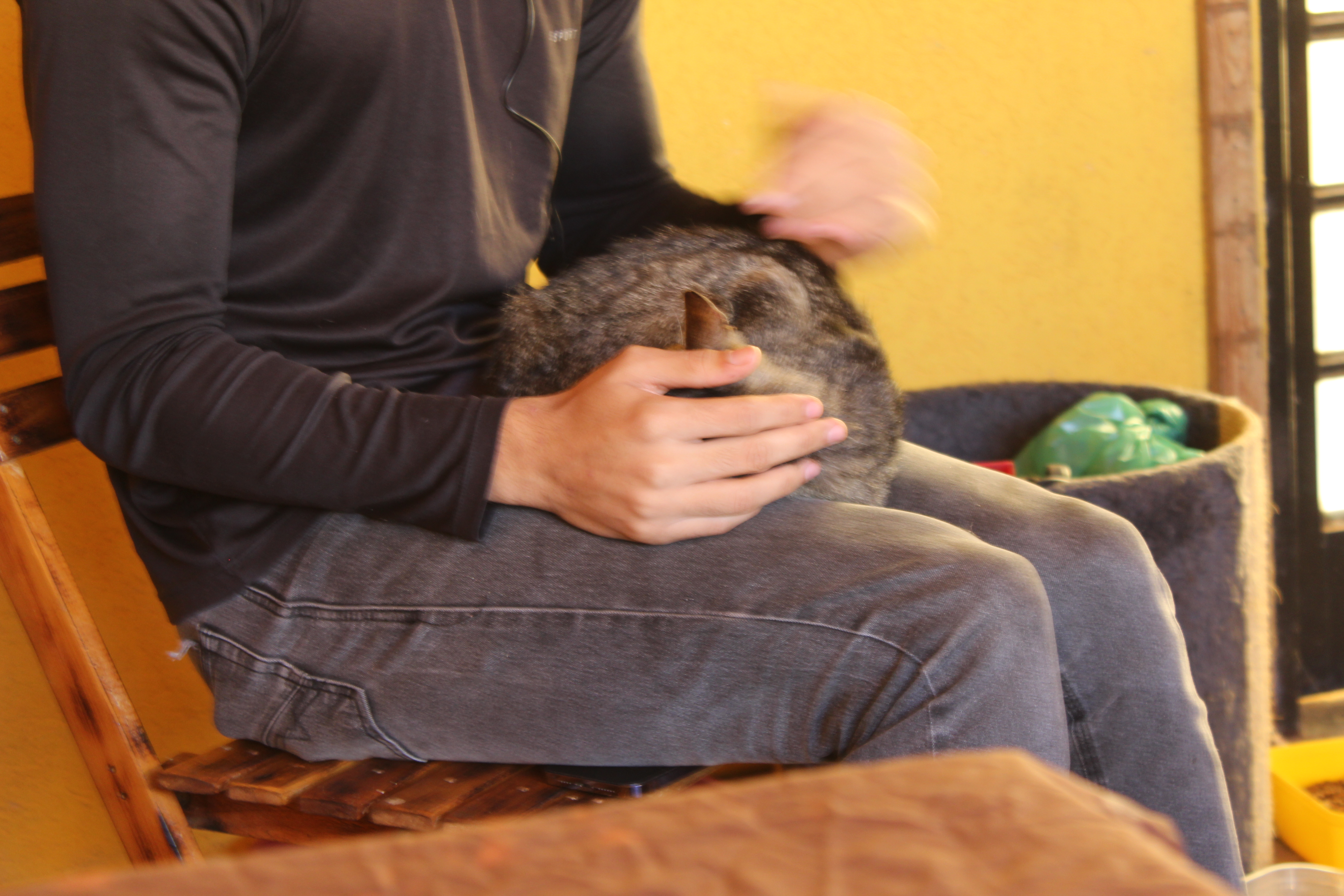 Foto 6 Erick